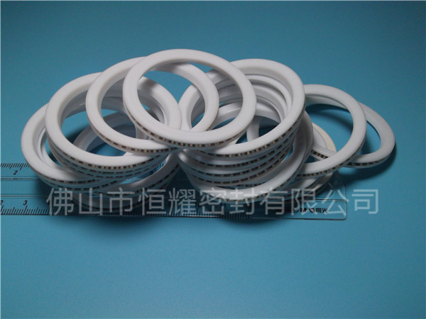 HVF、HVG端面內(nèi)、外向泛塞封 (8)