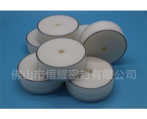 食品機(jī)械密封件 (66)