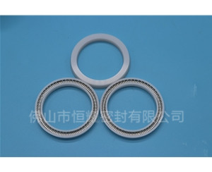 食品機械密封件 (121)