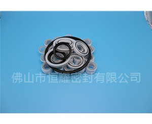 HOB、HVB孔用泛塞封 (6)