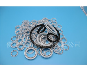 HOB、HVB孔用泛塞封 (11)