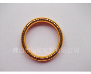 加液槍密封圈 (11)