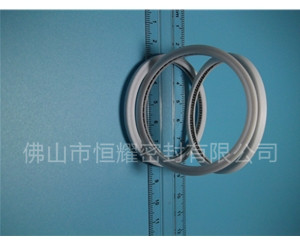 HVF、HVG端面內(nèi)、外向泛塞封 (6)