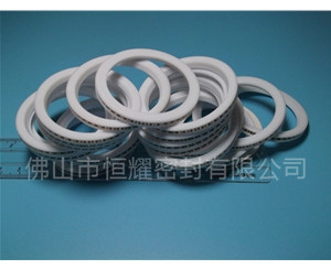 HVF、HVG端面內(nèi)、外向泛塞封 (8)