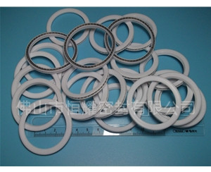 HVF、HVG端面內(nèi)、外向泛塞封 (9)