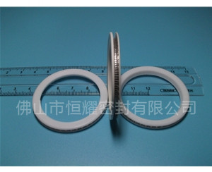 HVF、HVG端面內(nèi)、外向泛塞封 (10)