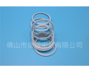 HVF、HVG端面內(nèi)、外向泛塞封 (15)