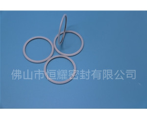 HVF、HVG端面內(nèi)、外向泛塞封 (20)