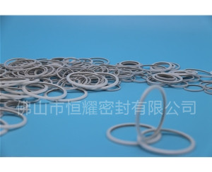 HVF、HVG端面內(nèi)、外向泛塞封 (23)